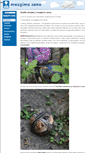 Mobile Screenshot of mezgimozona.lt